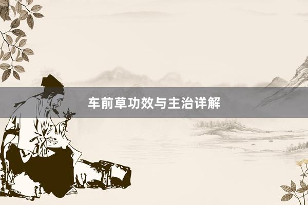车前草功效与主治详解