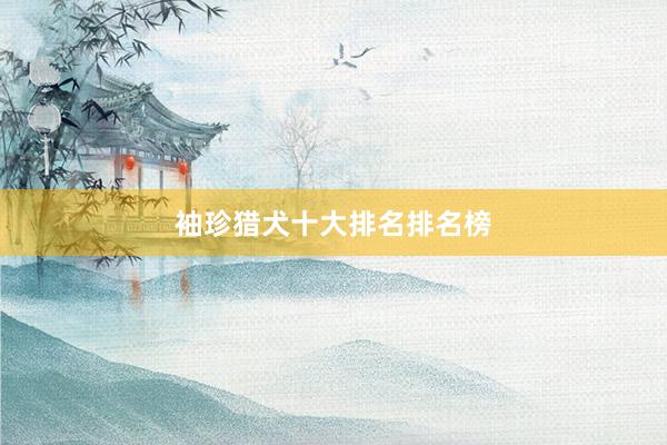 袖珍猎犬十大排名排名榜